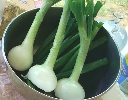 Huey onions.jpg